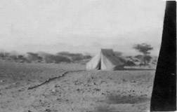 Conrad Wadi Gazouza tent 1941 41B06