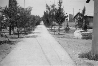 Ramleh Aug 1938